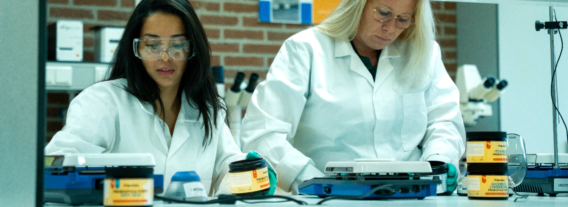 Dogsuppy dog health suppliments Shopify Store Case Study