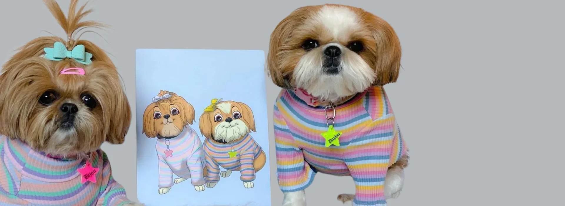 Pettoonies Pet Banner Shopify Store Case Study