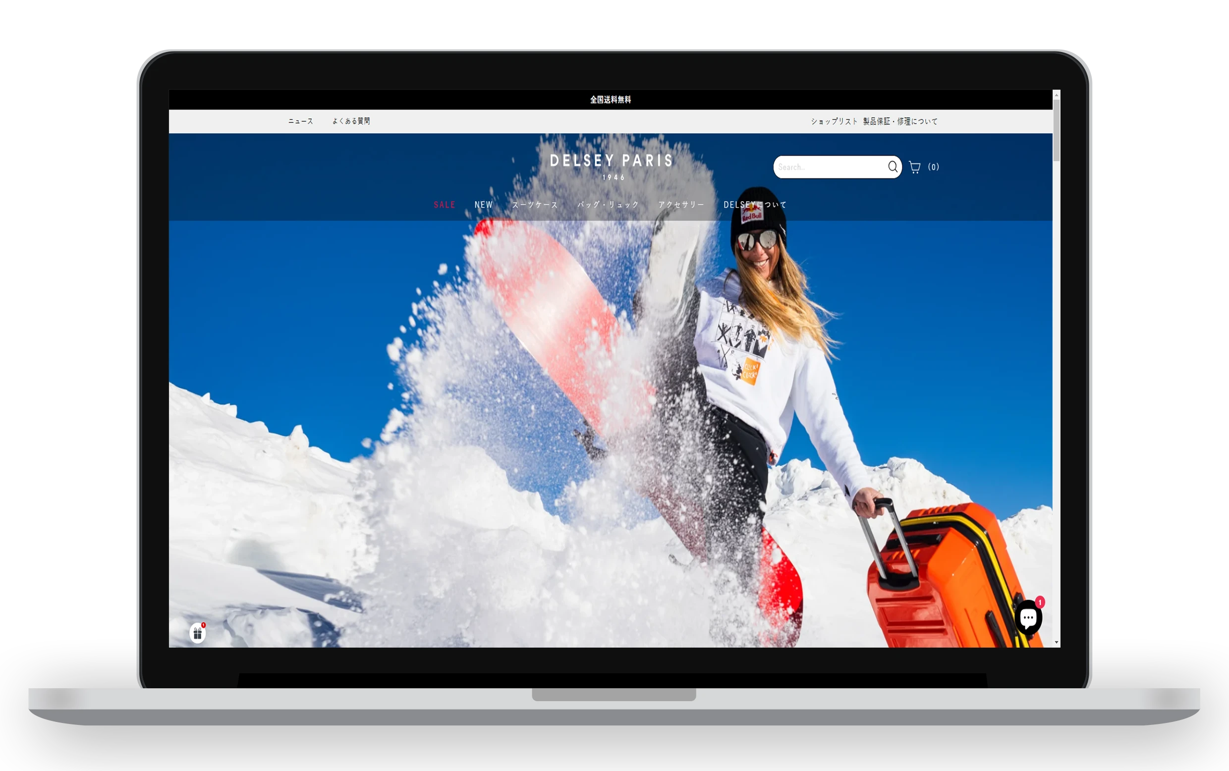 Delsey Implementation Screenshot
