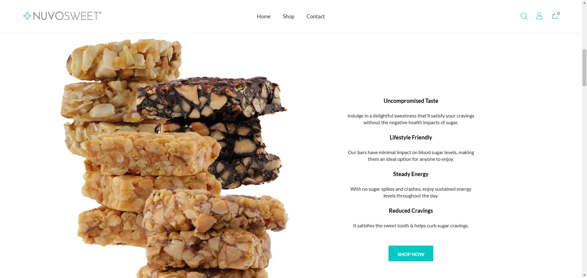 Taste and Bliss Health Nuts Implementation Screenshot