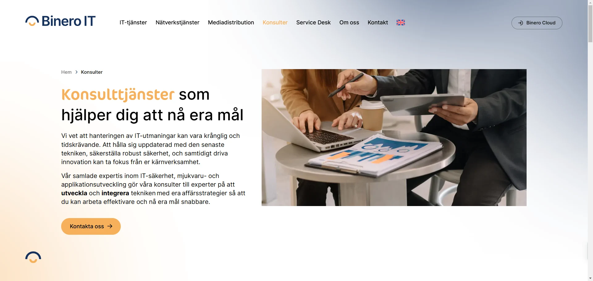 Binary IT Solutions Page Implementation Screenshot
