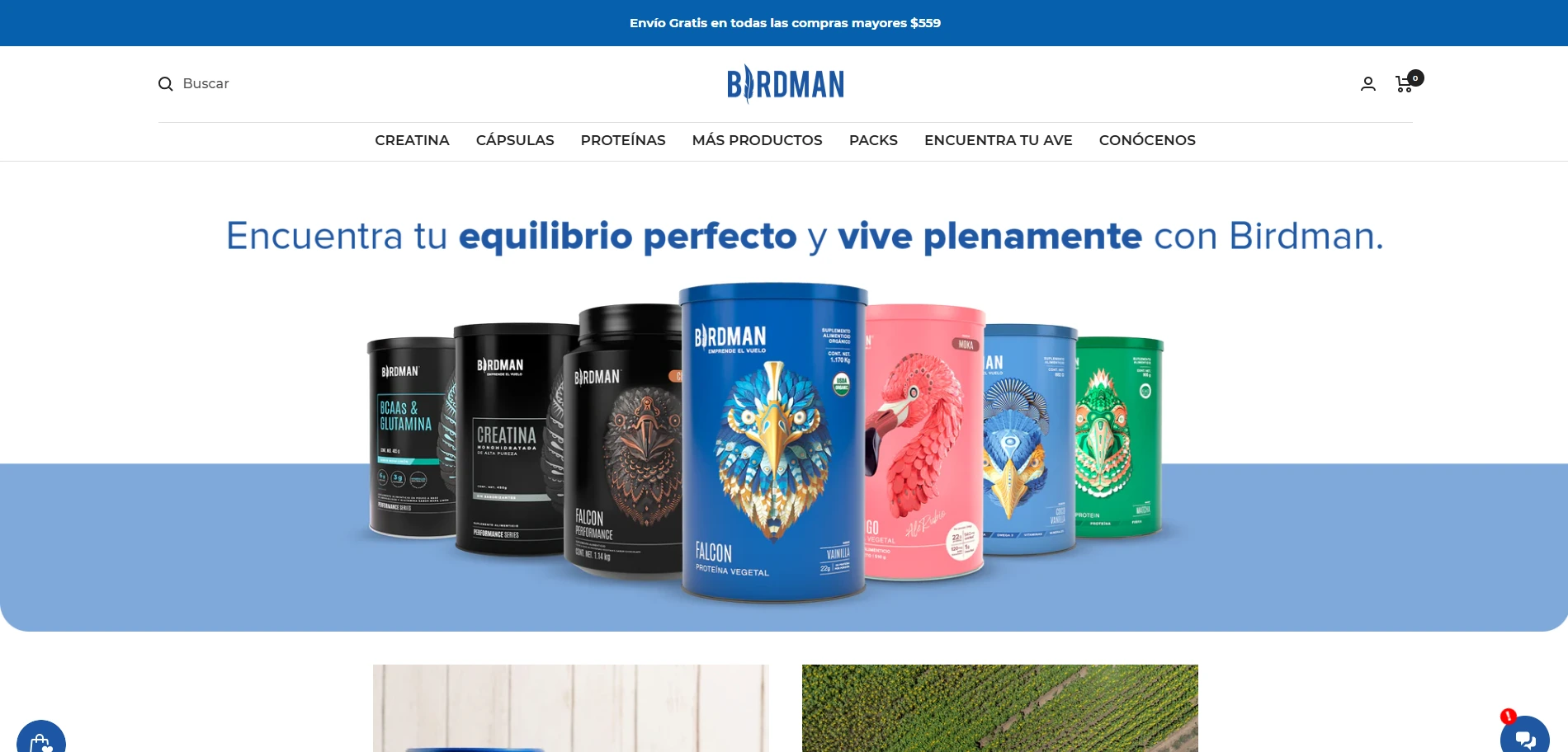 Birdman About page section Implementation Screenshot