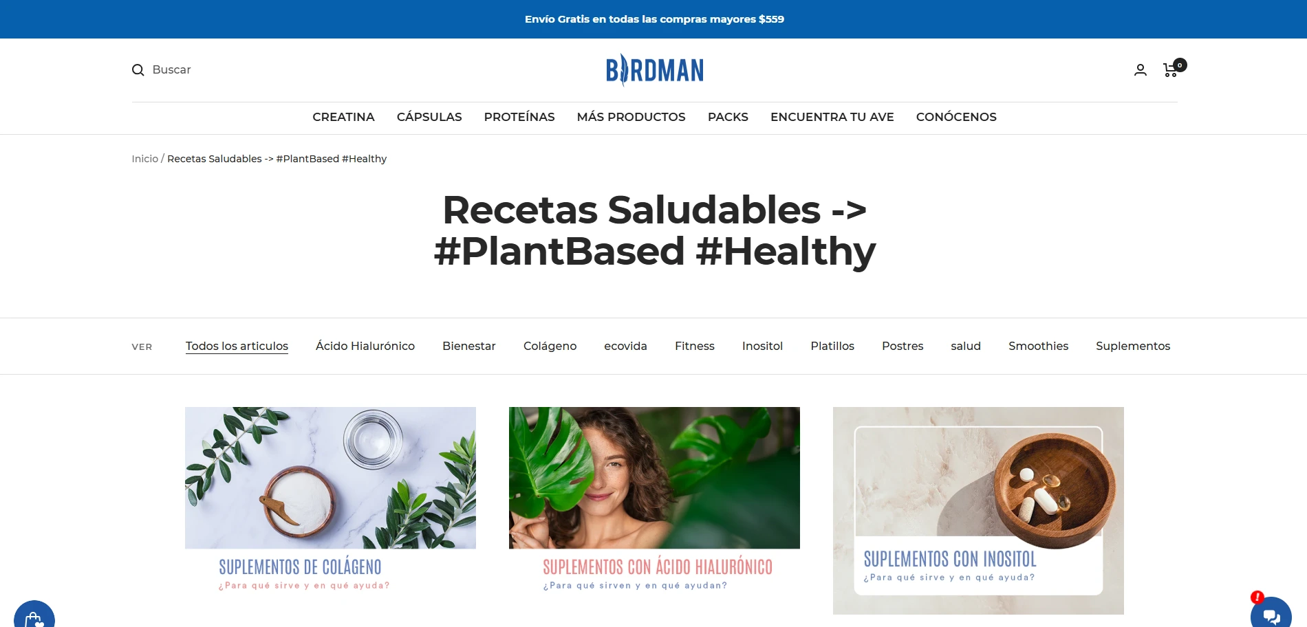 Birdman Blog page Implementation Screenshot