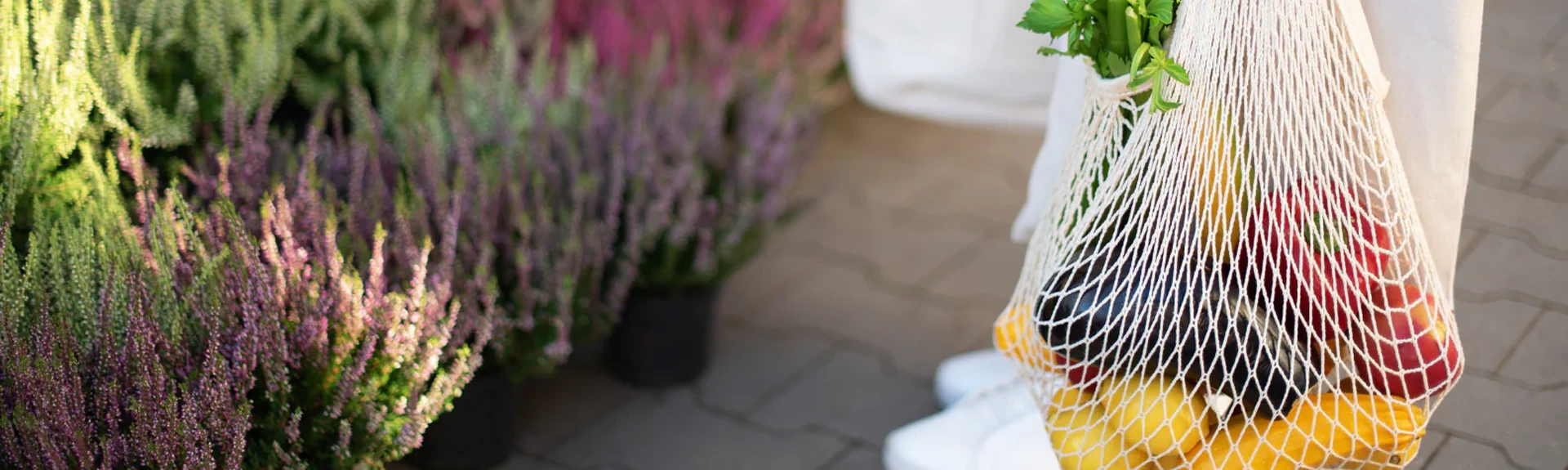 Long Handle bag Shopify Store Case Study