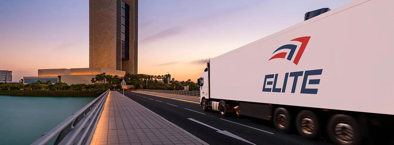 Elite Ecommerce Store Case Study