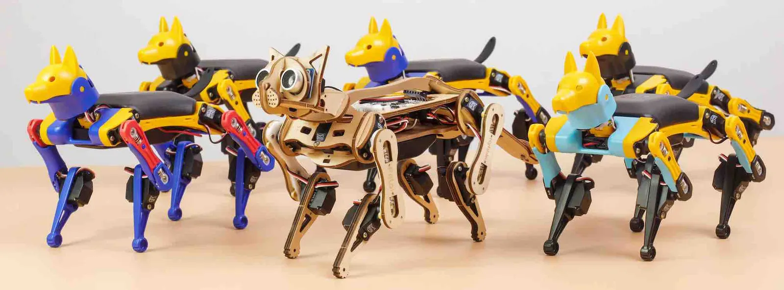 Robot Dog Ecommerce Store Case Study