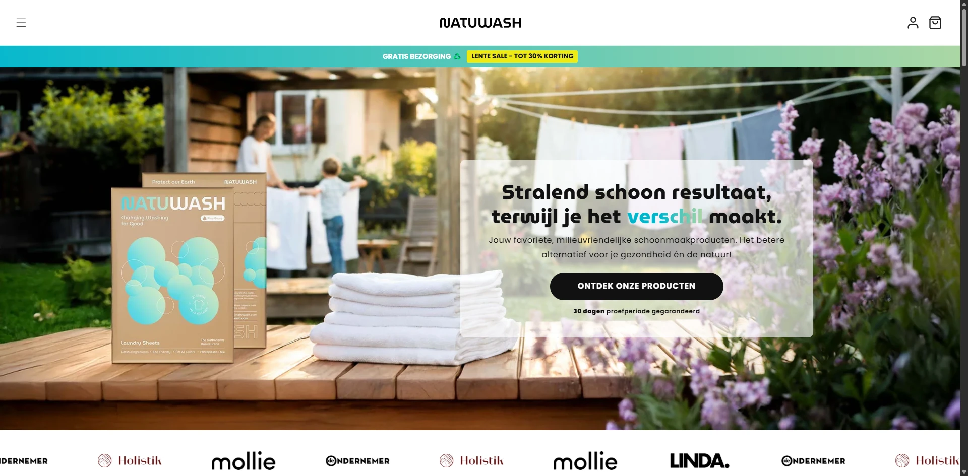 Natuwash Homepage Implementation Screenshot