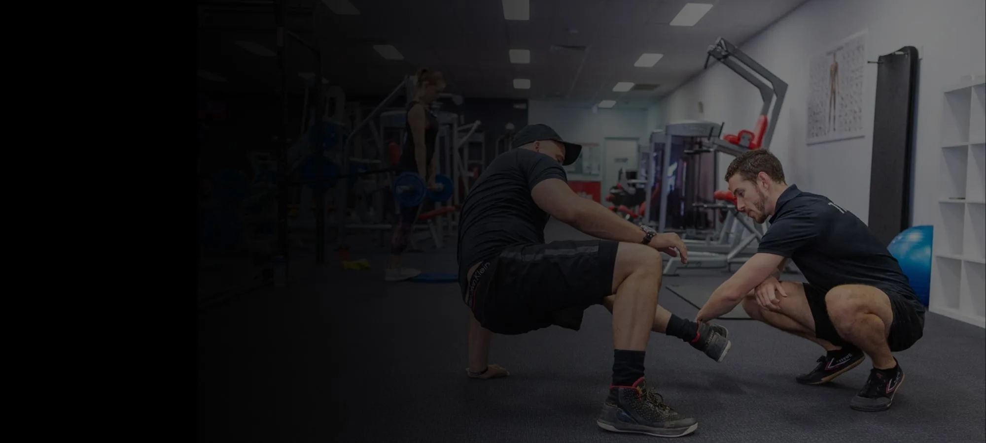 PHP, CMS Fitness Coaching case study