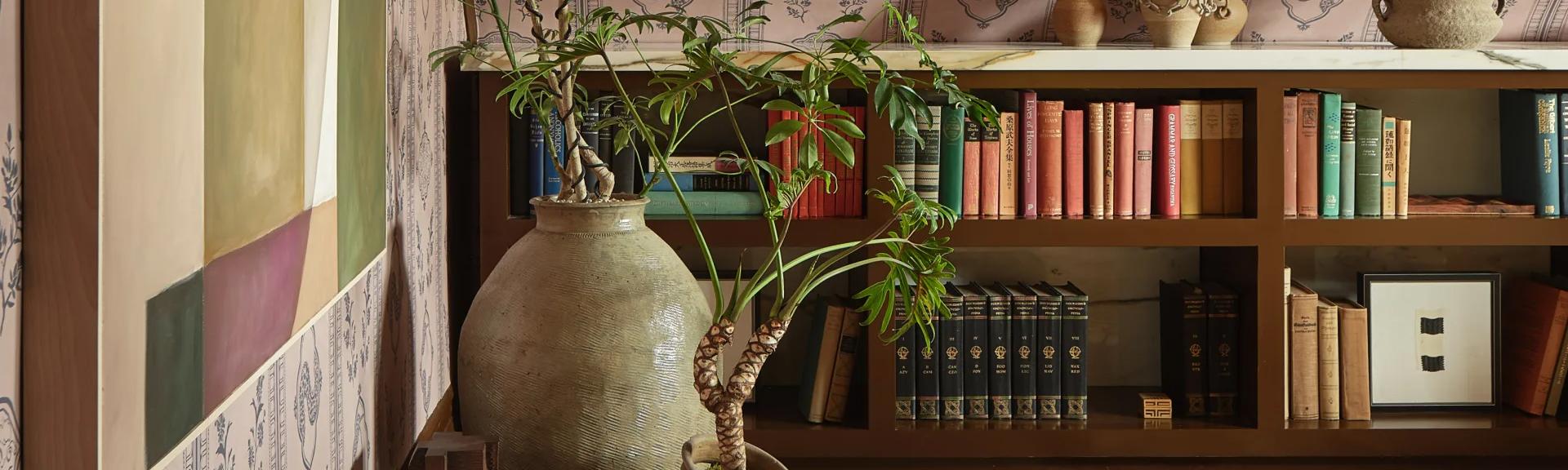 SHOPIFY E-commerce, Furniture, Home Décor, Lifestyle case study